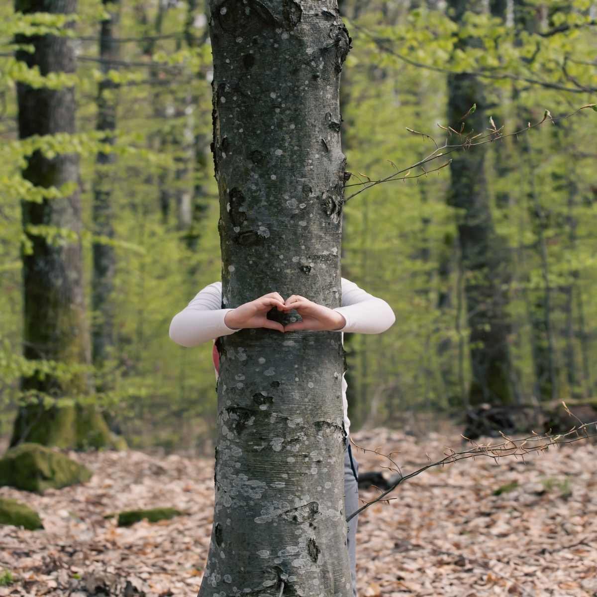 Young generation embracing nature, with a hug at a tree